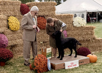 2026 Wine Country Circuit Dog Show