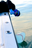 Key West Shark