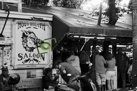 Hogs breath Saloon
