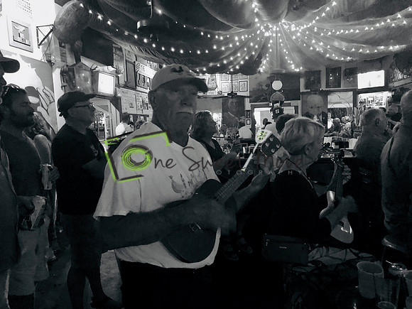 Ukelele night at The Green Parrot