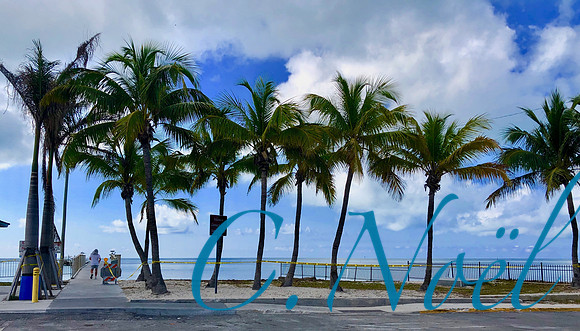 Higgs Beach Pier Palms