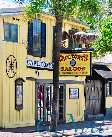 Captain Tony's Saloon