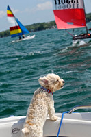 Truman Enjoying The Regatta